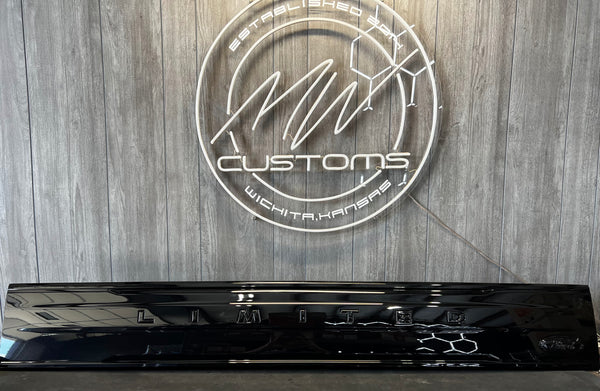 2015+ Ford F150 Tailgate Panel