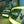 Load image into Gallery viewer, PRE BUILT 2006-08 DODGE RAM ALPHAREX HEADLIGHTS NOVA SERIES
