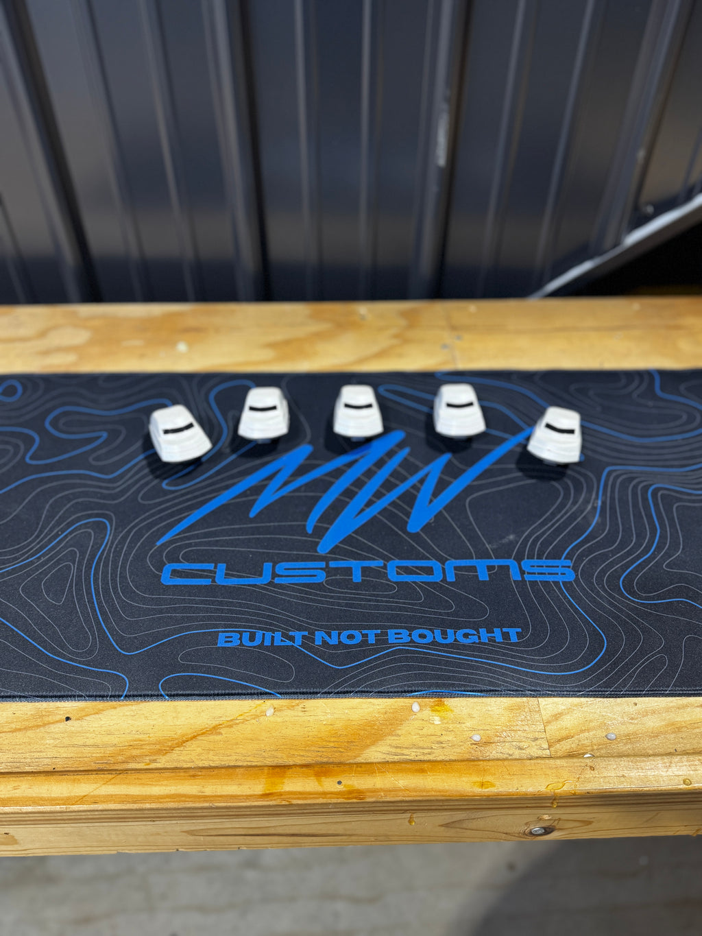 2017 - 24 FORD SUPER DUTY RECON CAB LIGHTS