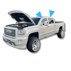 COLORMATCHED RAIN GUARDS