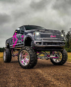 STANDARD WHITE LED ROCK LIGHTS