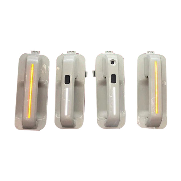 2015-22 F150 SWITCHBACK DOOR HANDLES